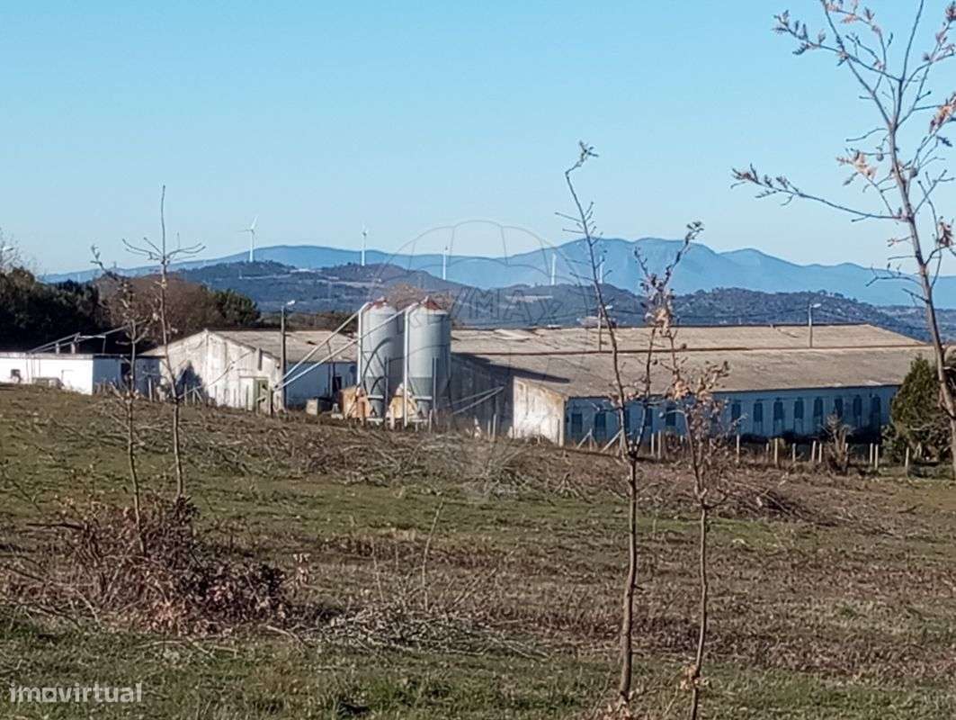 Quinta  para venda - Grande imagem: 3/21