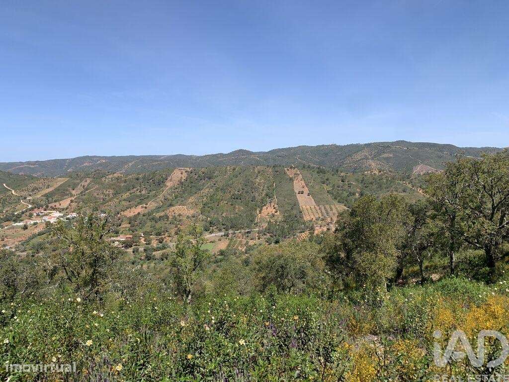 Terreno em Querença, Tôr e Benafim de 9960,00 m2 - Grande imagem: 3/7