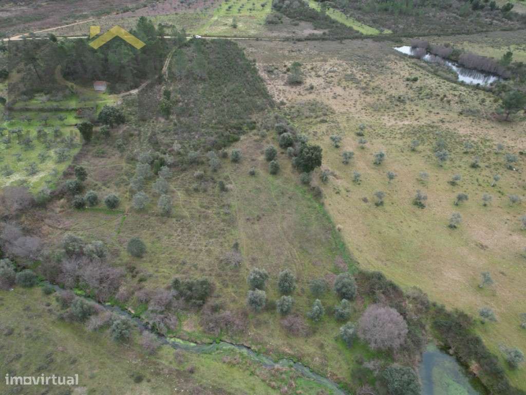 Terreno rústico com cerca de 4.120m2 para venda no Freixial do Campo! - Grande imagem: 2/12