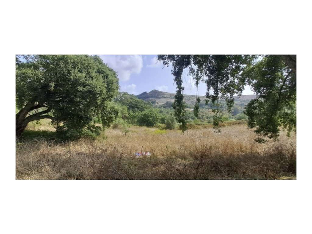Terreno para Venda em Loures - Grande imagem: 4/11