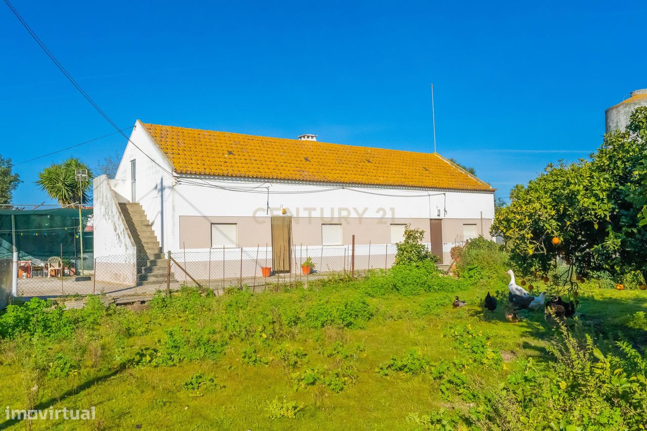 Quintinha T4 na Mourisca- com 5000 m² - Setúbal - Grande imagem: 1/39