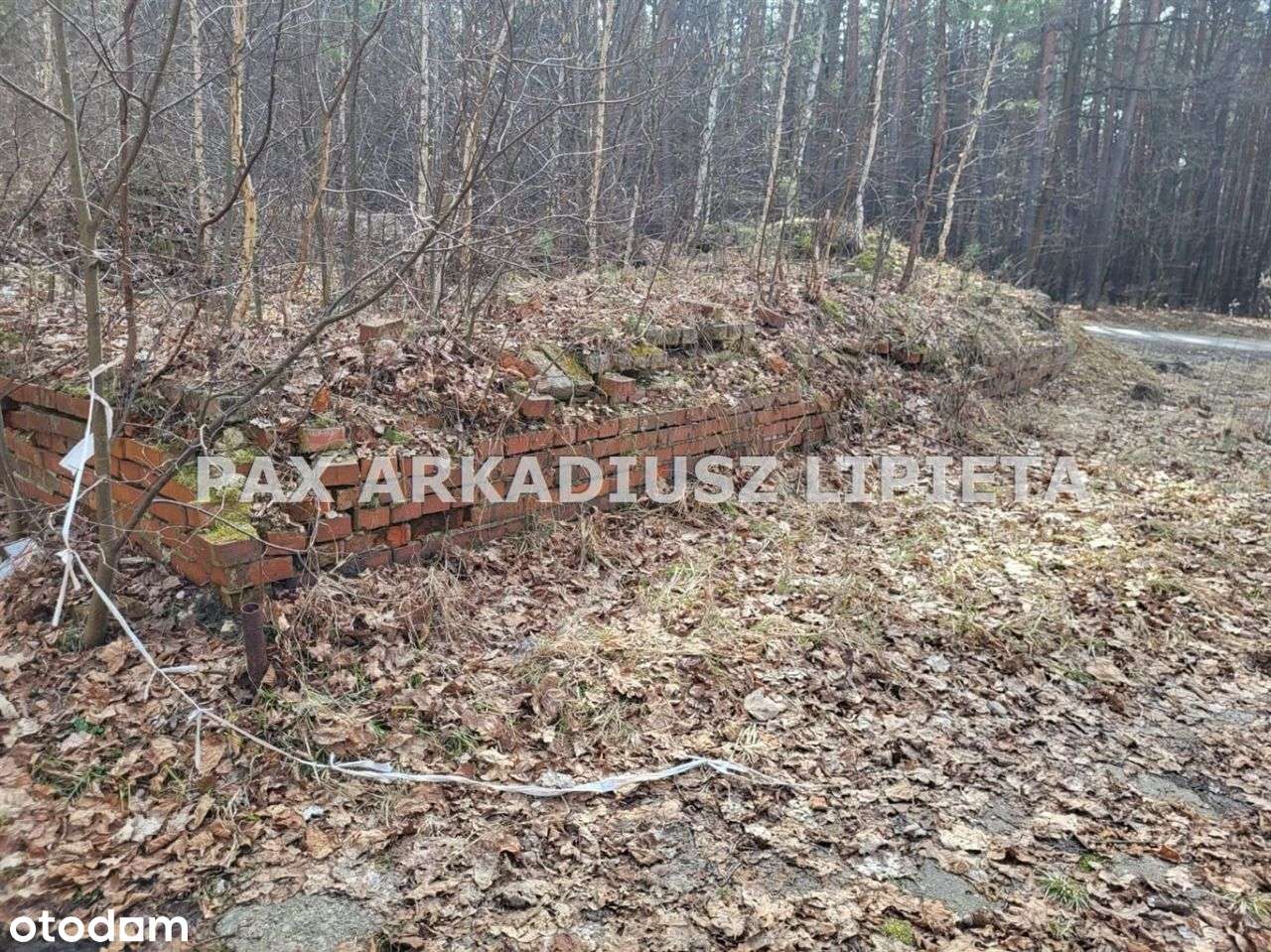 Działka, 4 025 m², Boruszowice-1