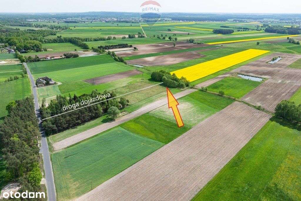 Wiosna, malownicza ze stawem dla miłośników natury - Pełny obrazek: 4/16