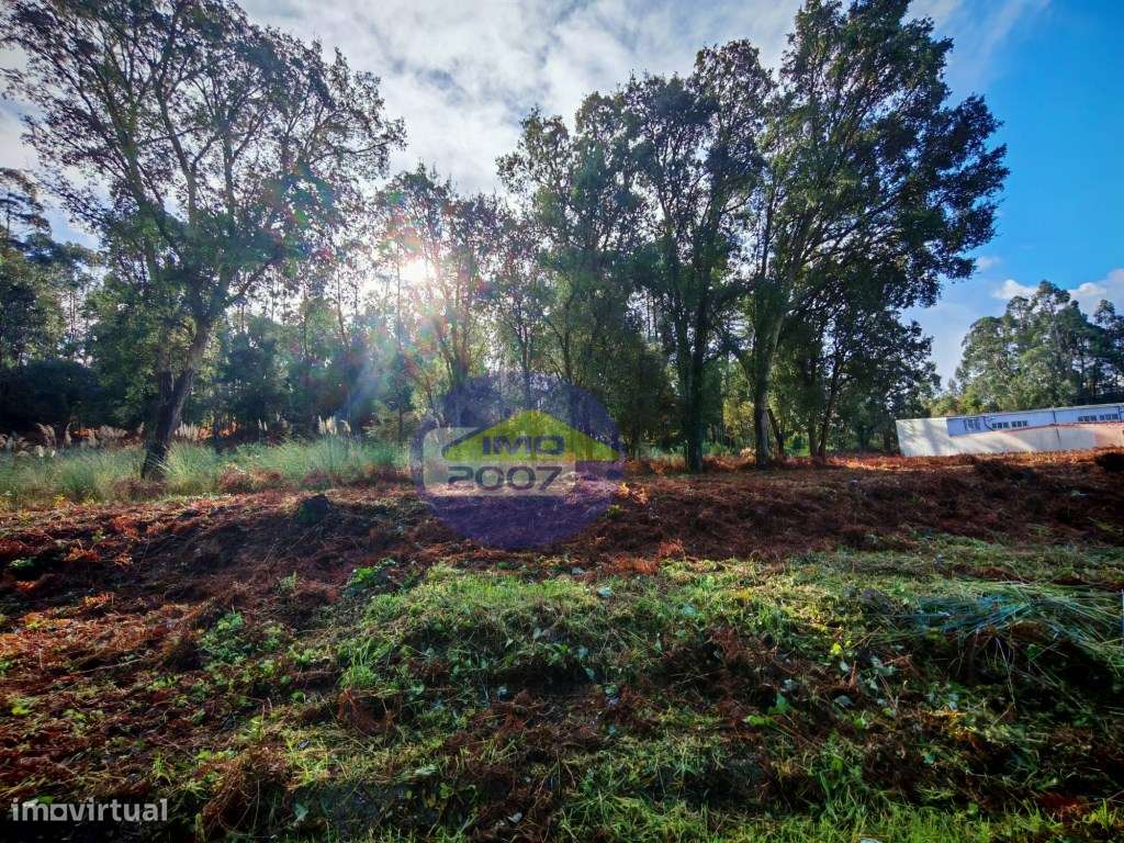Terreno rústico a entrada de Espinho - Grande imagem: 4/16