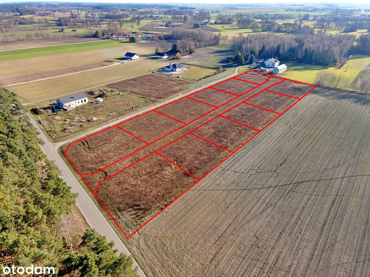 Działki budowlane Kuźnica, gm. Ceków-Kolonia - Pełny obrazek: 1/10