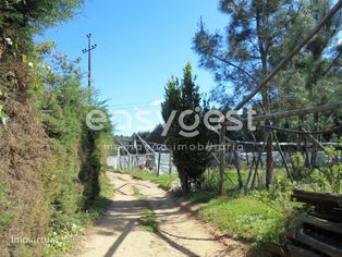 Terreno Rústico localizado 3 km da Vila de Ferreira do Zêzere - Grande imagem: 2/17