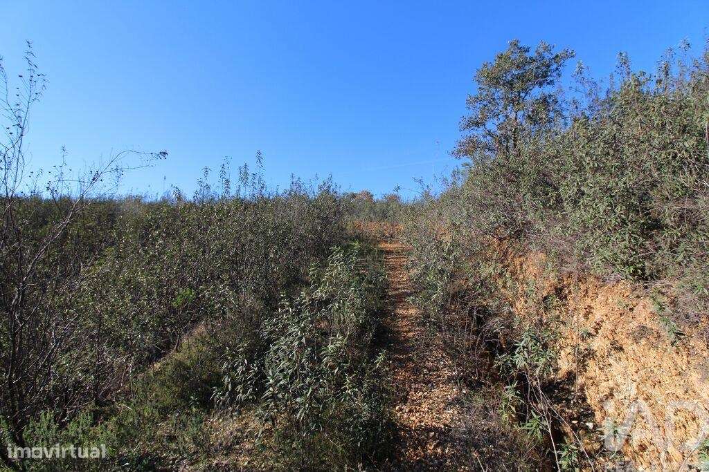 Casa de Campo T2 em São Bartolomeu de Messines de 80,00 m2 - Grande imagem: 4/19