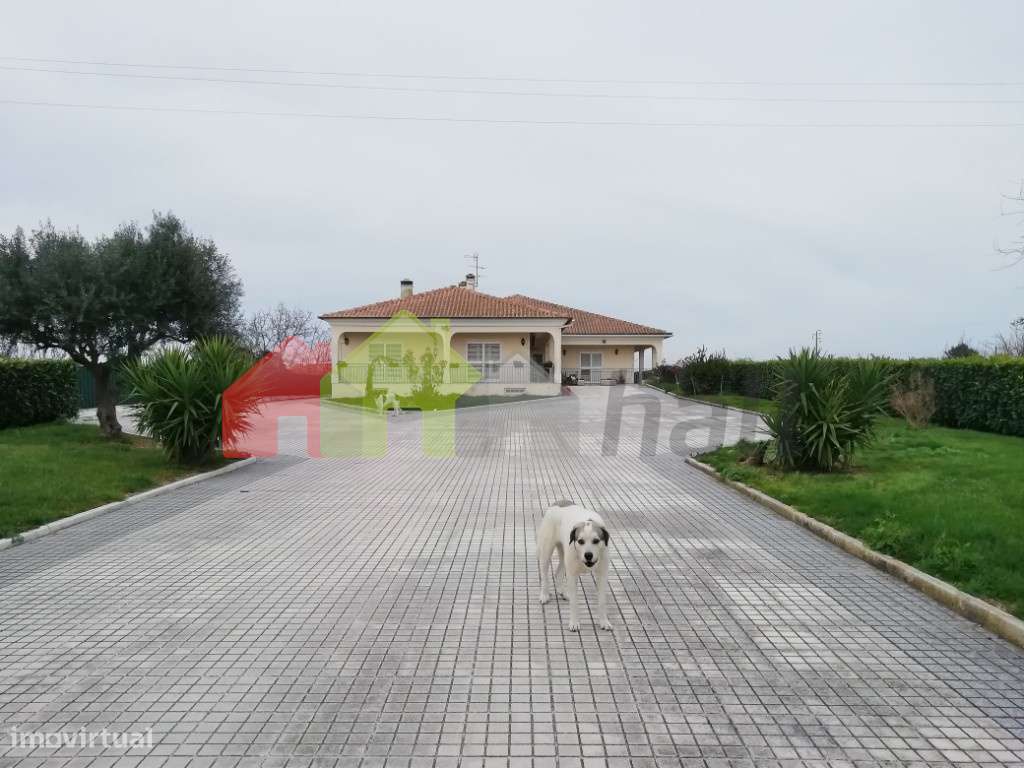 Quinta em Palmela com 10.000 m2 e moradia T5 - Grande imagem: 4/59