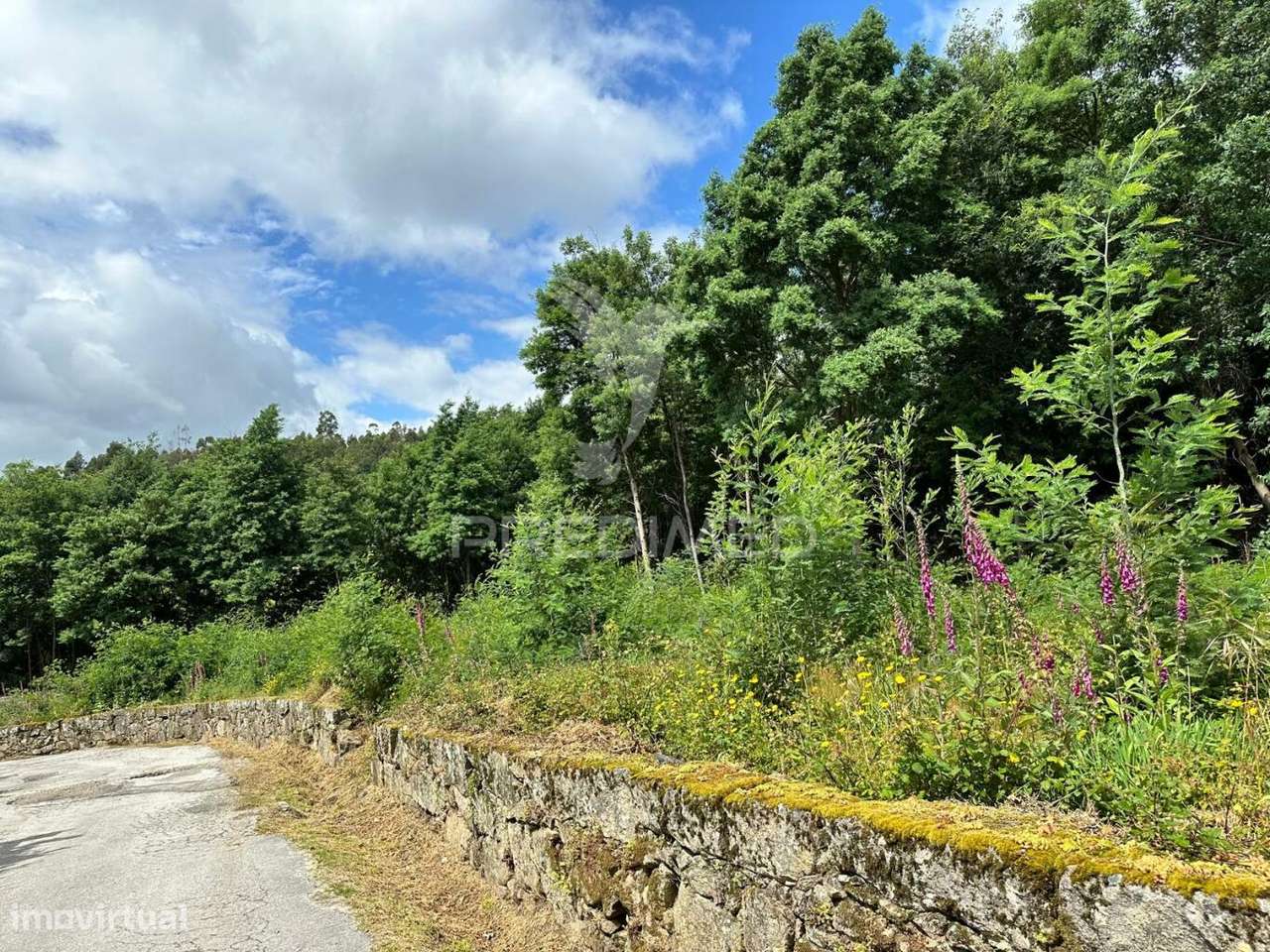 Terreno Cabeceiras de Basto - Grande imagem: 2/14