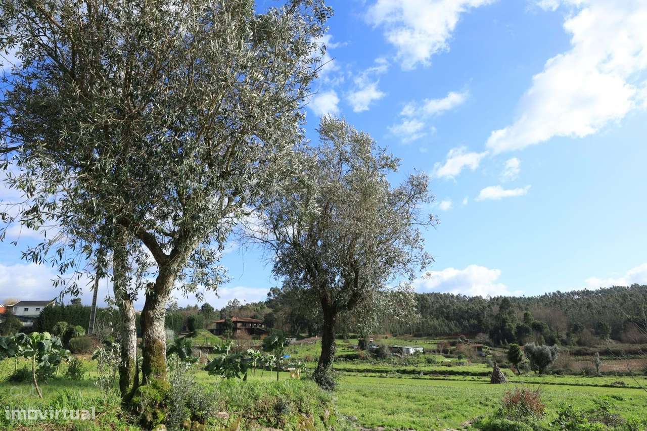 Quinta dos Moinhos - T4 de 7.100 m² de terreno em Penafiel para VENDA-34