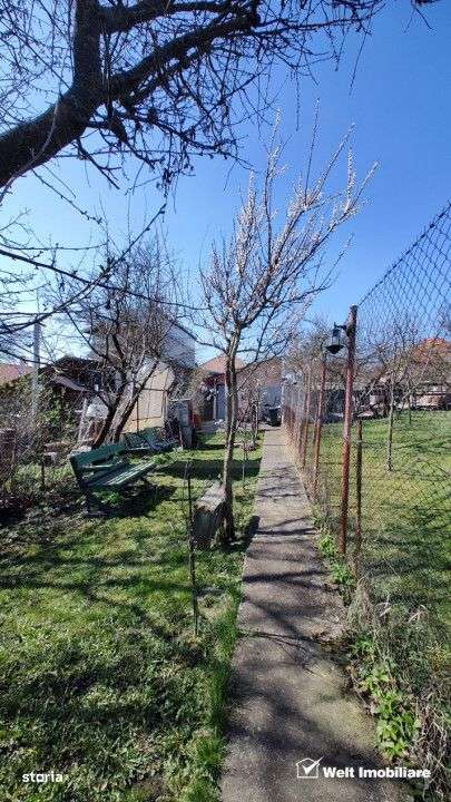Casa alipita, singur in curte, 90 mp utili, anexe, teren 625mp, Db Rot - Imagine principală: 4/13