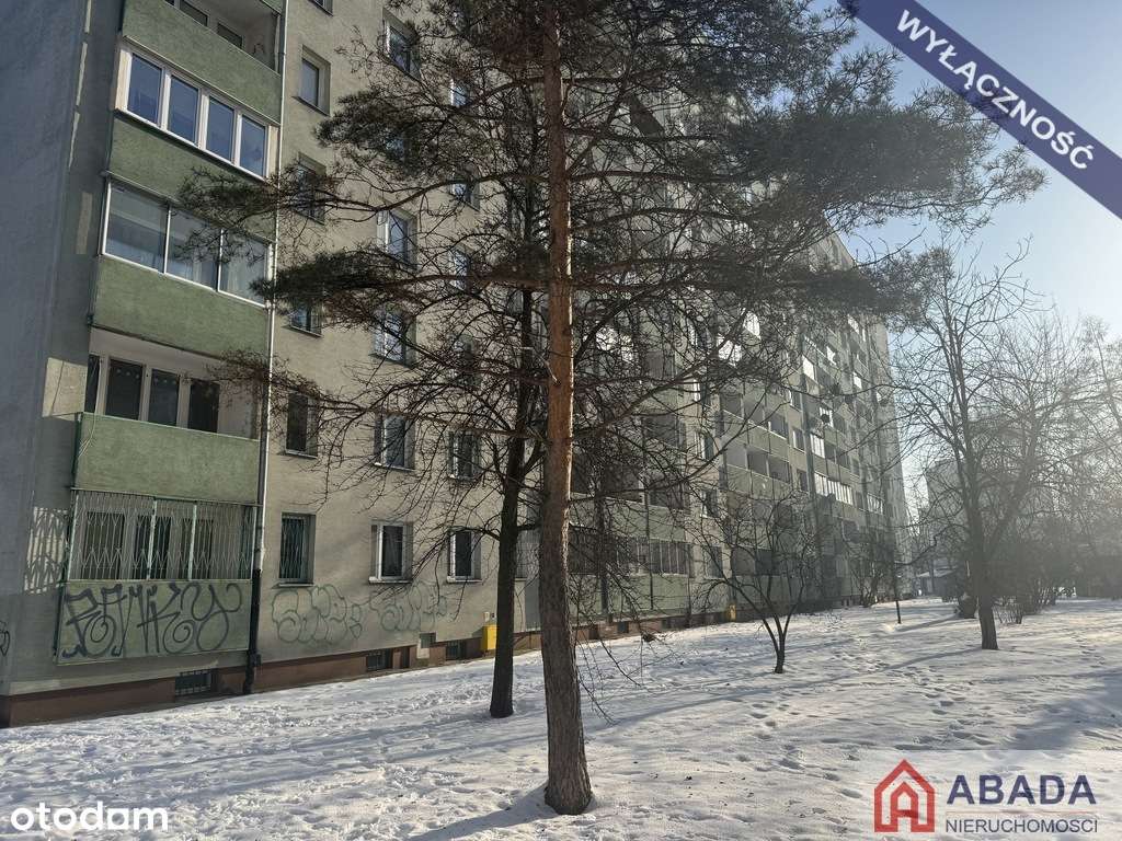 wykończony pawilon sprzedaż z umową dzierżawy-9