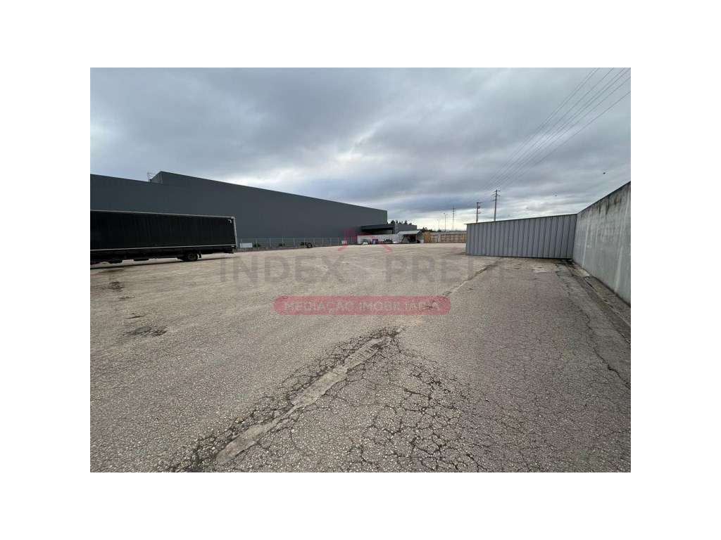 Escritório amplo com WC - Arrendamento - Águeda - Grande imagem: 5/6