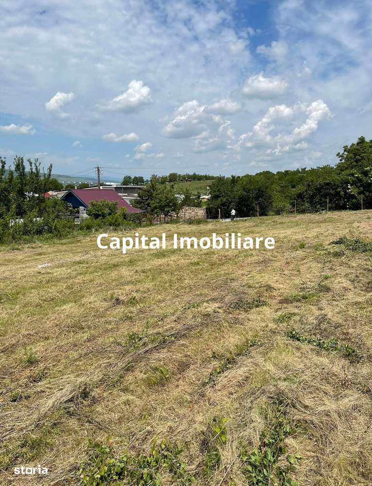 Teren de vânzare în Jucu de Sus: 1763 mp - Imagine principală: 4/9