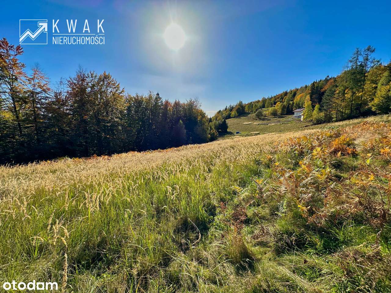 Działka pod Twój dom w górach Jeleśnia Janiki-13