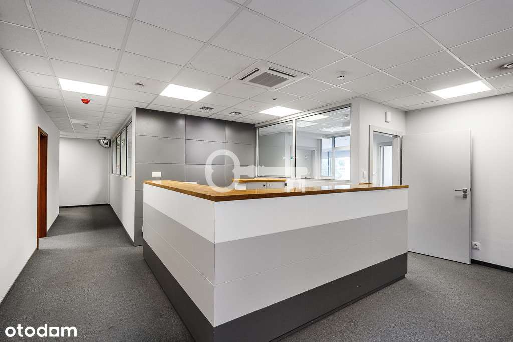 Lokal użytkowy w centrum Gdyni - Pełny obrazek: 4/11