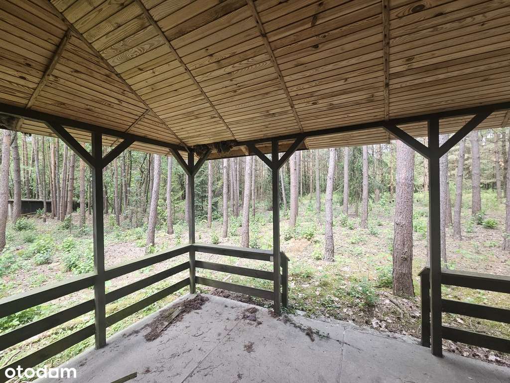 Piękna działka budowlana w lesie, 20 min od Łodzi - Pełny obrazek: 4/10