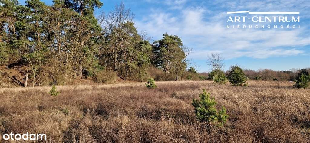 Działki przy lesie - Pełny obrazek: 4/4
