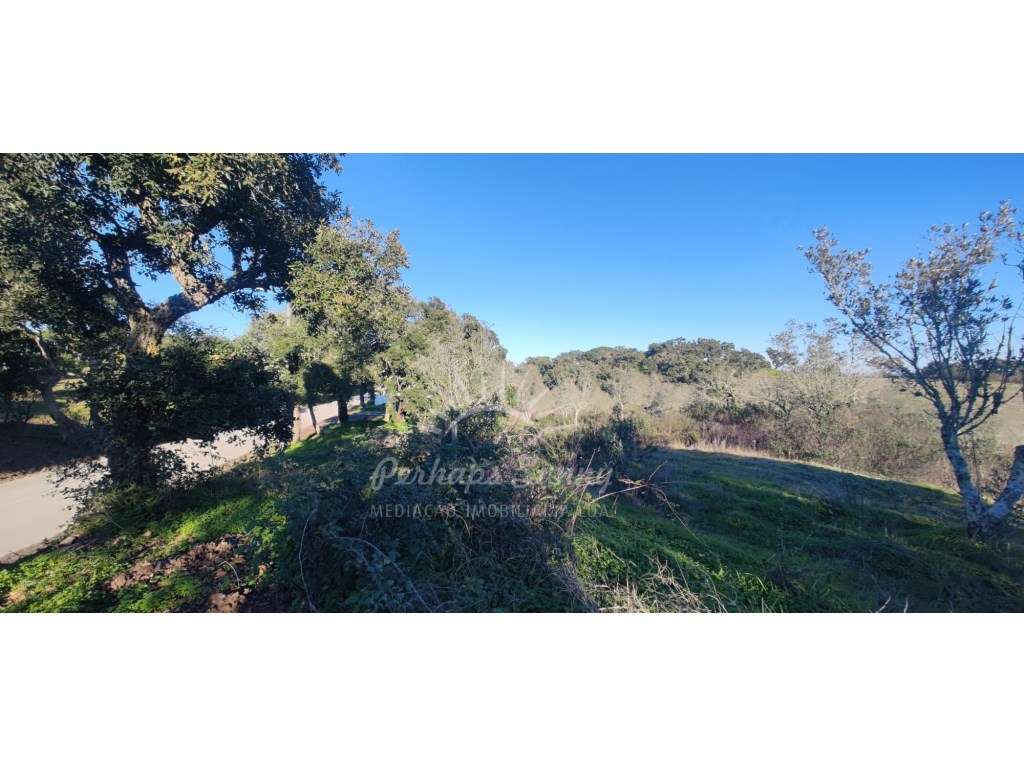 TERRENO RÚSTICO PARA VENDA - UMA OPORTUNIDADE NA SERRA DE GRÂNDOLA-9