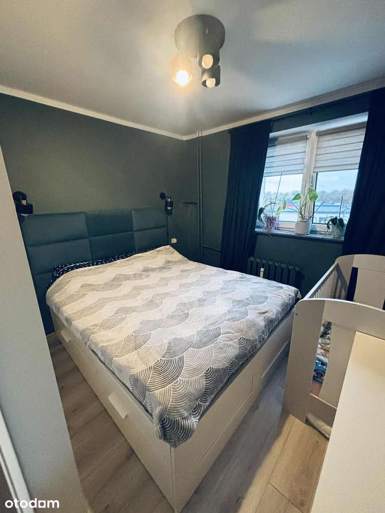 Mieszkanie 3-pokojowe (50 m) w CENTRUM - Pełny obrazek: 4/8