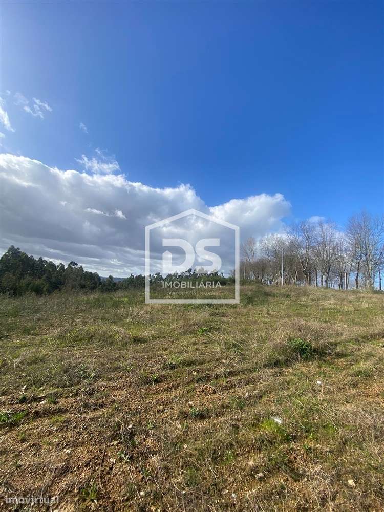 Terreno Rústico  Venda em Macieira da Lixa e Caramos,Felgueiras - Grande imagem: 5/14
