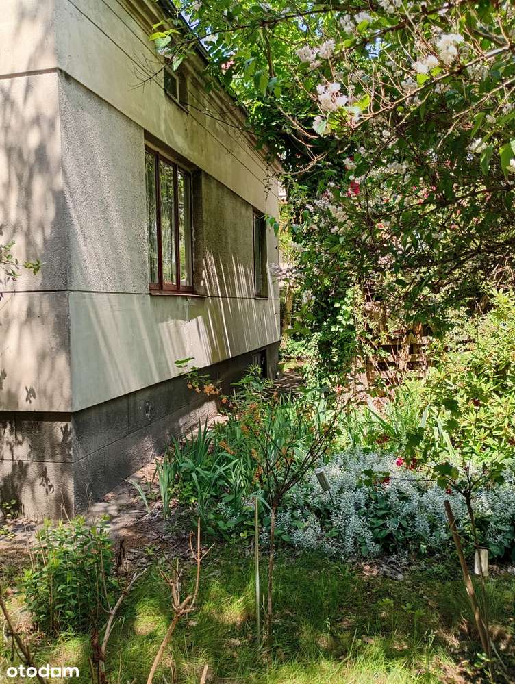 Działka o powierzchni 1087 m² z domem do remontu lub przebudowy