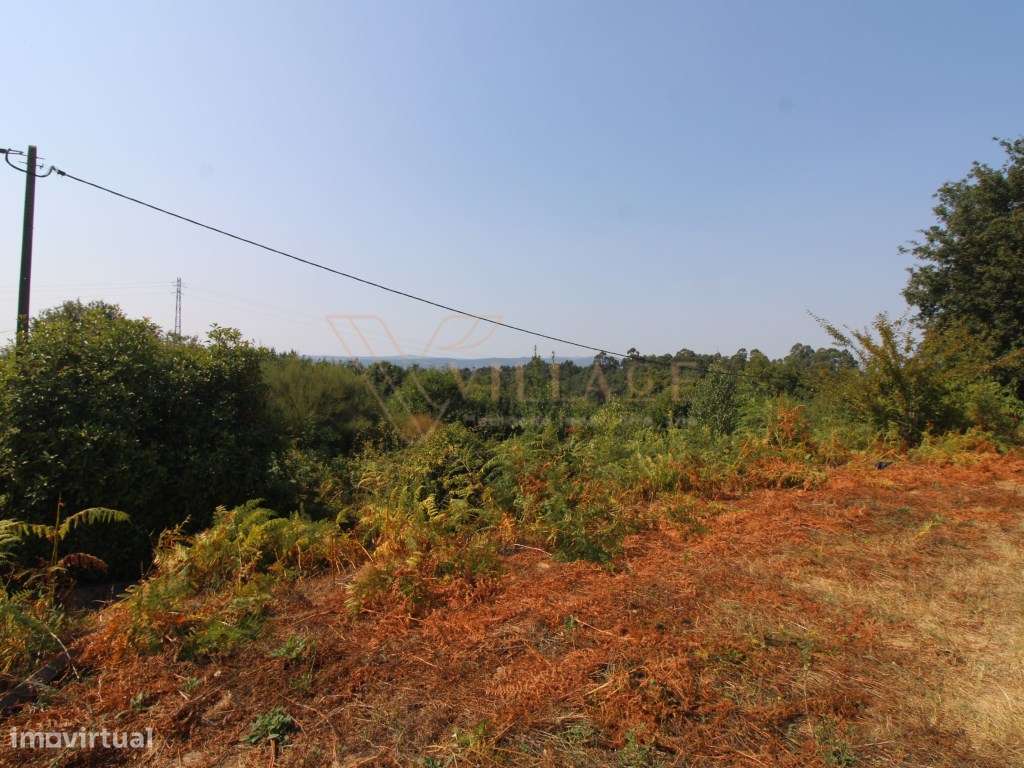 Terreno - Grande imagem: 5/7