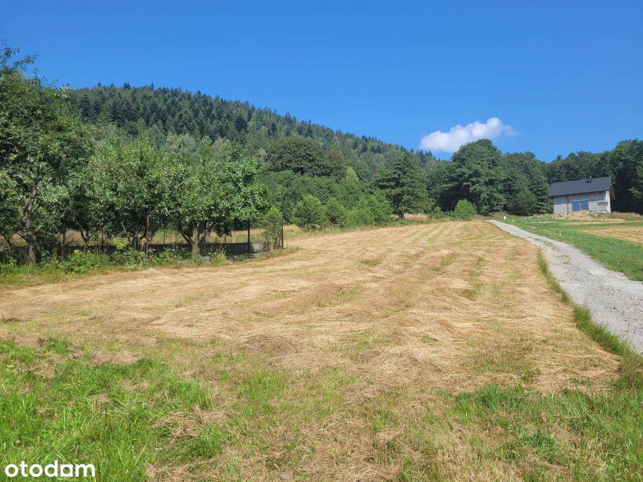 Widokowa działka budowlana Godziszka u podnóża Gór - Pełny obrazek: 5/11