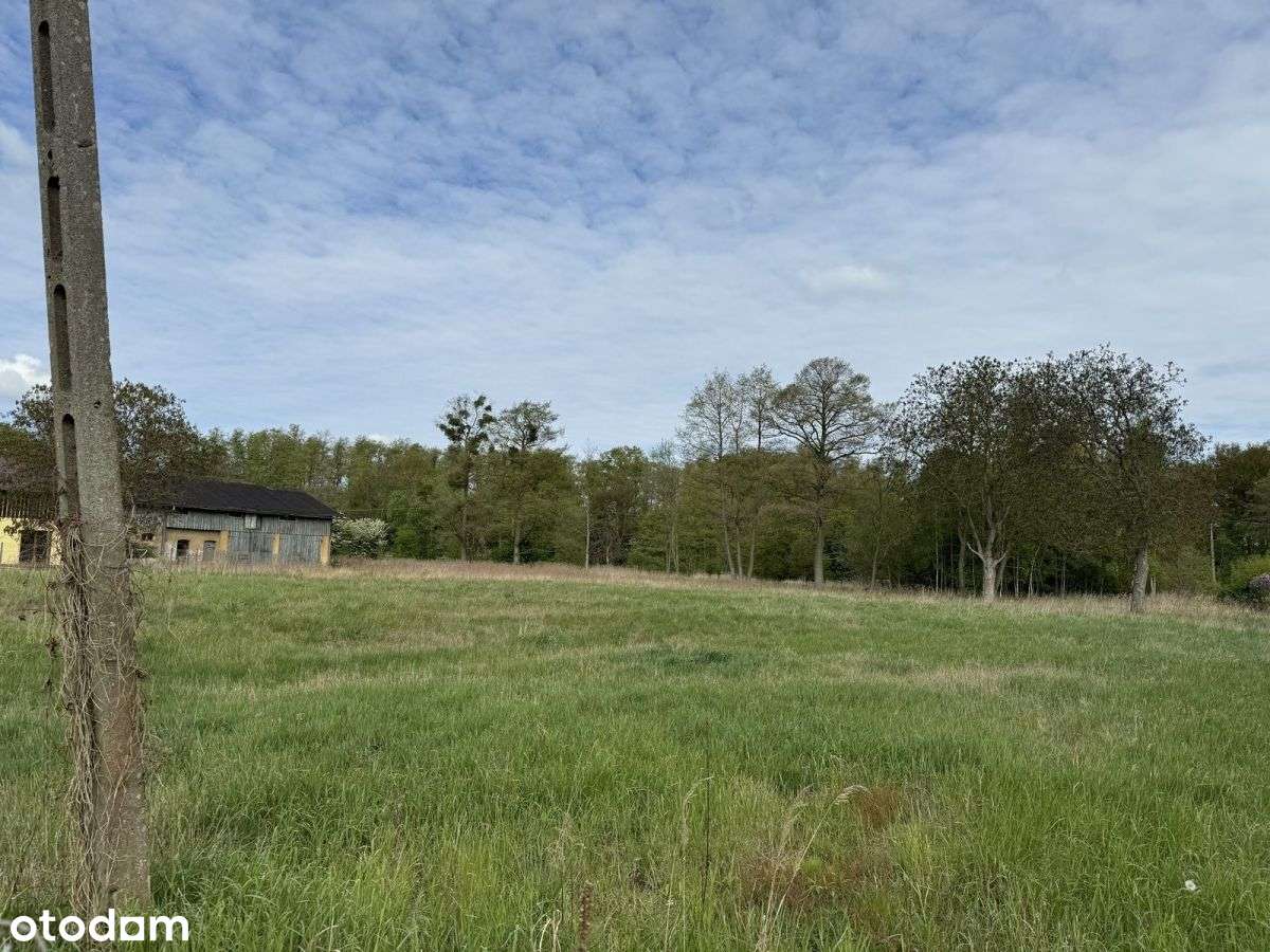 działka 8500m2 Długołęka-15