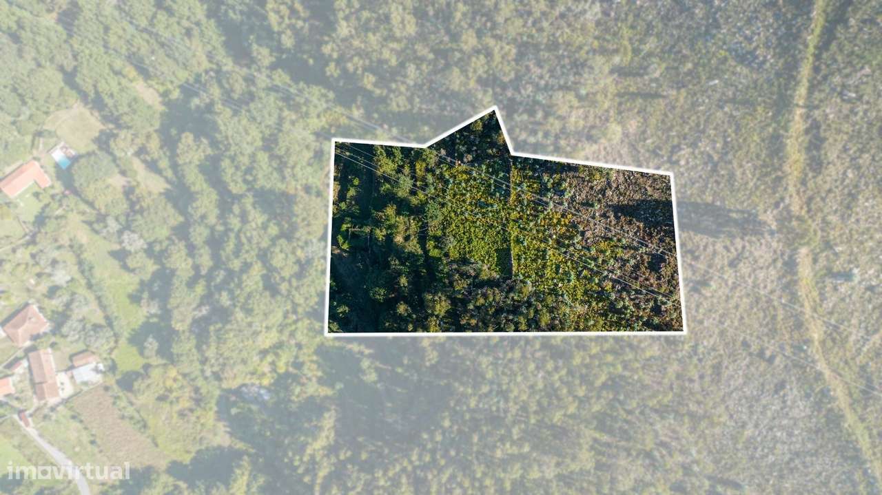 Moradia para Restaurar T2 em UDF de Caldelas, Sequeiros e Paranhos - Grande imagem: 4/9