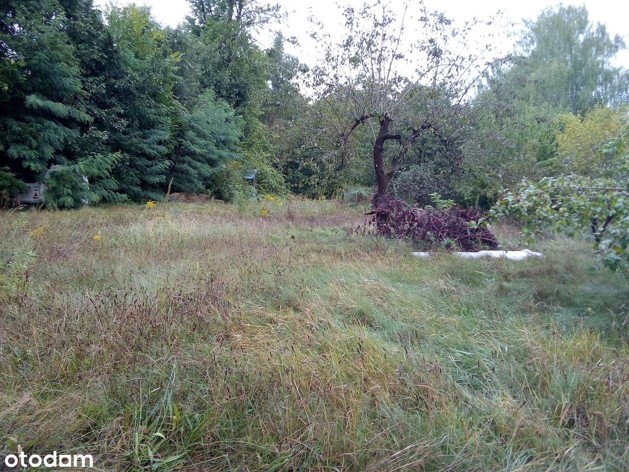 Działka inwestycylna w doskonałym miejscu - Pełny obrazek: 2/3