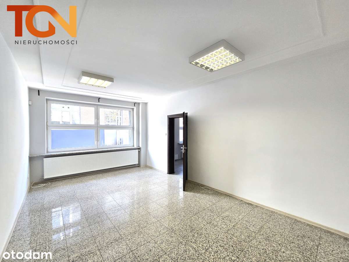 s137074 - Pełny obrazek: 3/14