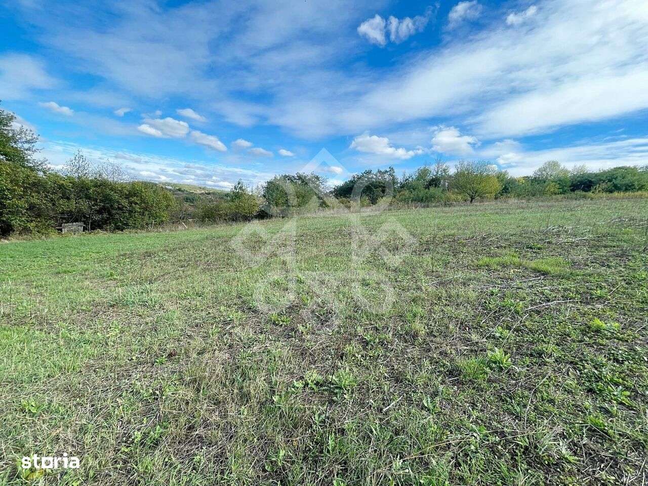 Teren intravilan 5995 mp de vanzare in Hidiselu de Sus - Imagine principală: 5/7