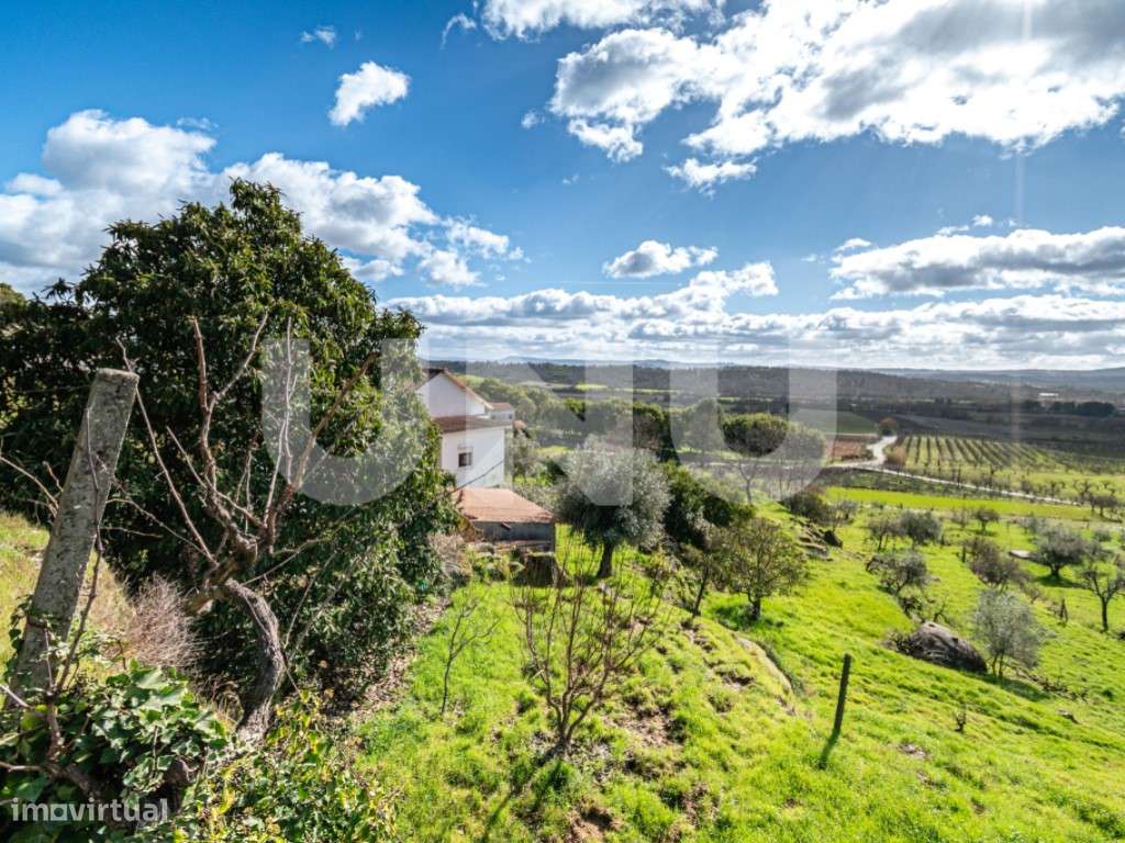 Quinta T2 com Habitação, Infraestruturas Agrícolas e Terreno com Vi...-39