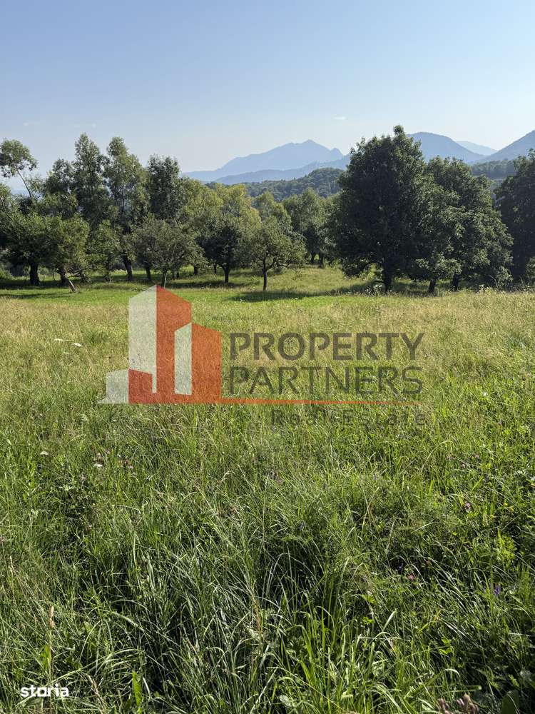 Teren Sohodol 5000 mp - Imagine principală: 4/8