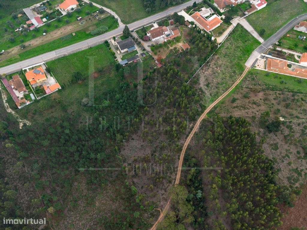 Terreno Rústico | Pampilhosa, Mealhada - Grande imagem: 4/15