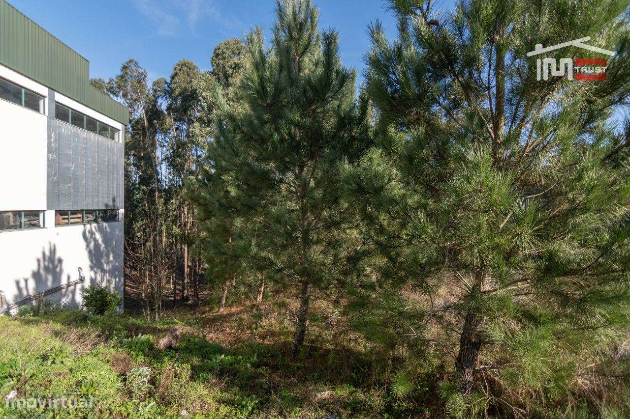 TERRENO COM ÁREA DE 1360m2 - Grande imagem: 2/10