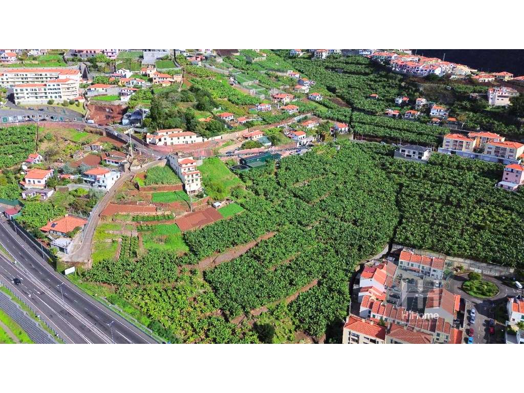 Terreno Agrícola com 7745m² em Câmara de Lobos - Grande imagem: 5/15