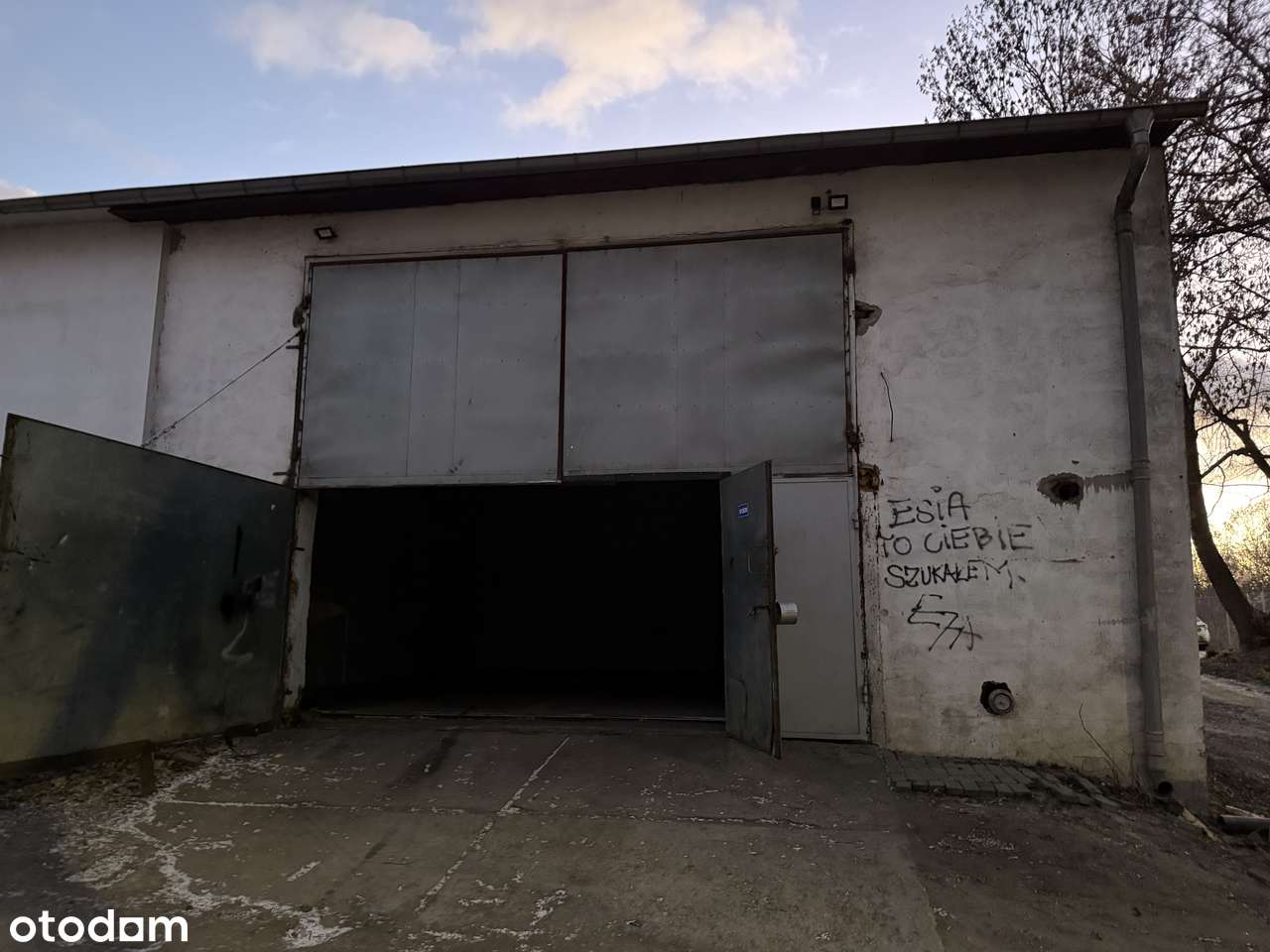 Warsztat Magazyn 80m2 i 160m2 Poznań Głogowska Kanał Serwis Samochodow - Pełny obrazek: 5/18