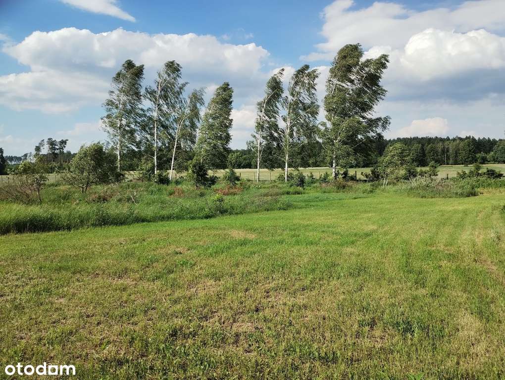 Sprzedam działkę pod budowę 45min od Warszawy-3