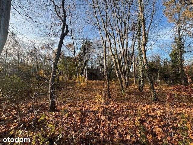 Dom przedwojenny w Puszczykowie-3