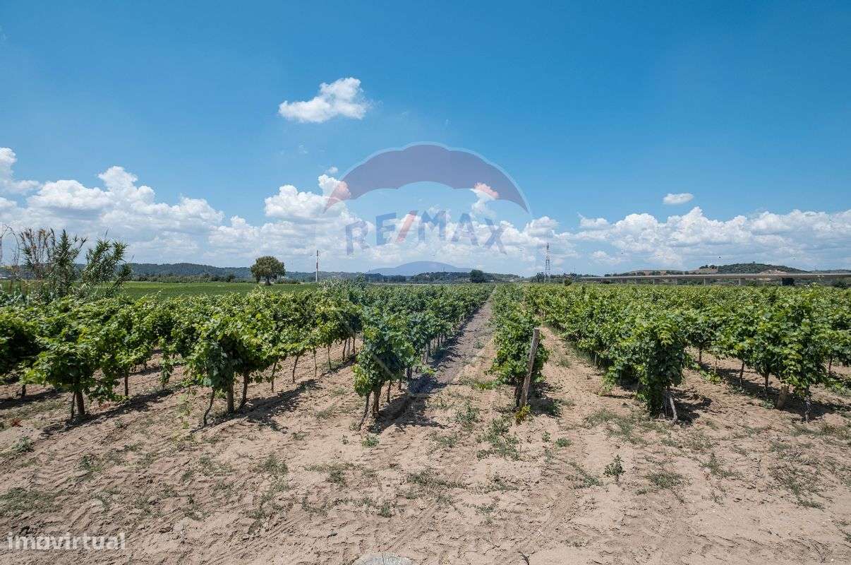 Terreno  para venda - Grande imagem: 4/7