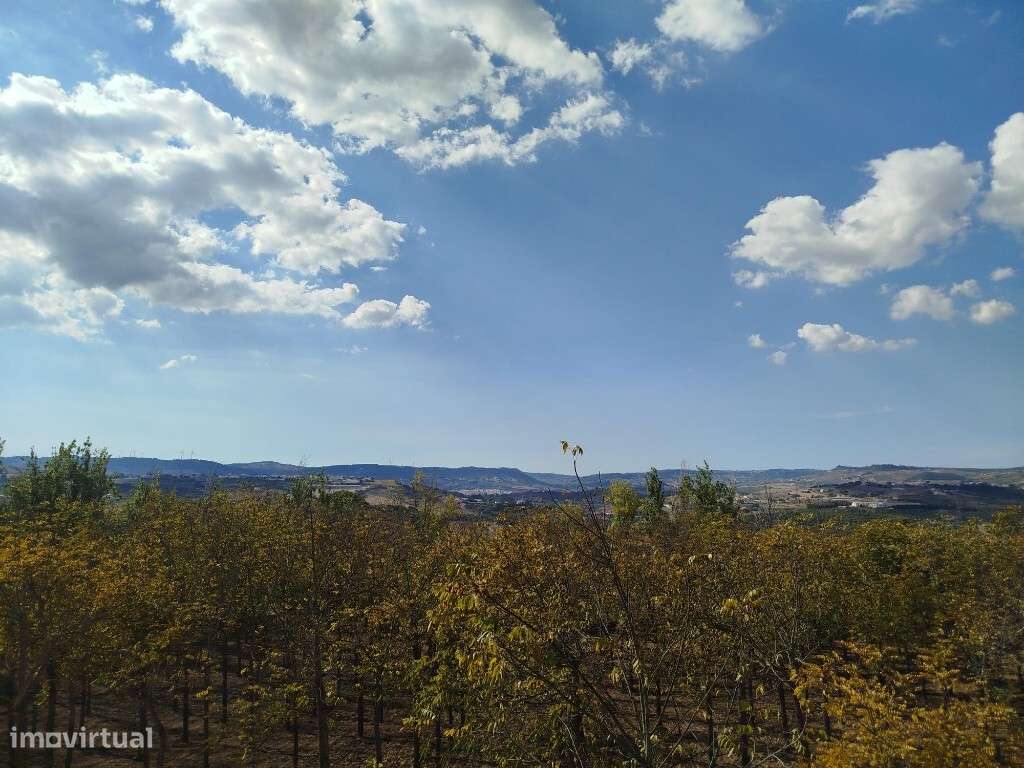 Quinta para venda em Vila Franca de Xira - Grande imagem: 4/17