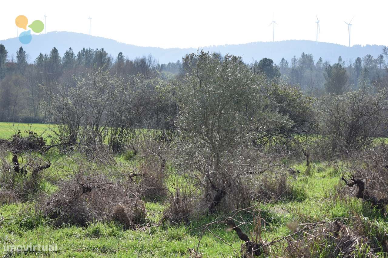 Terreno - Fundão - Grande imagem: 5/10