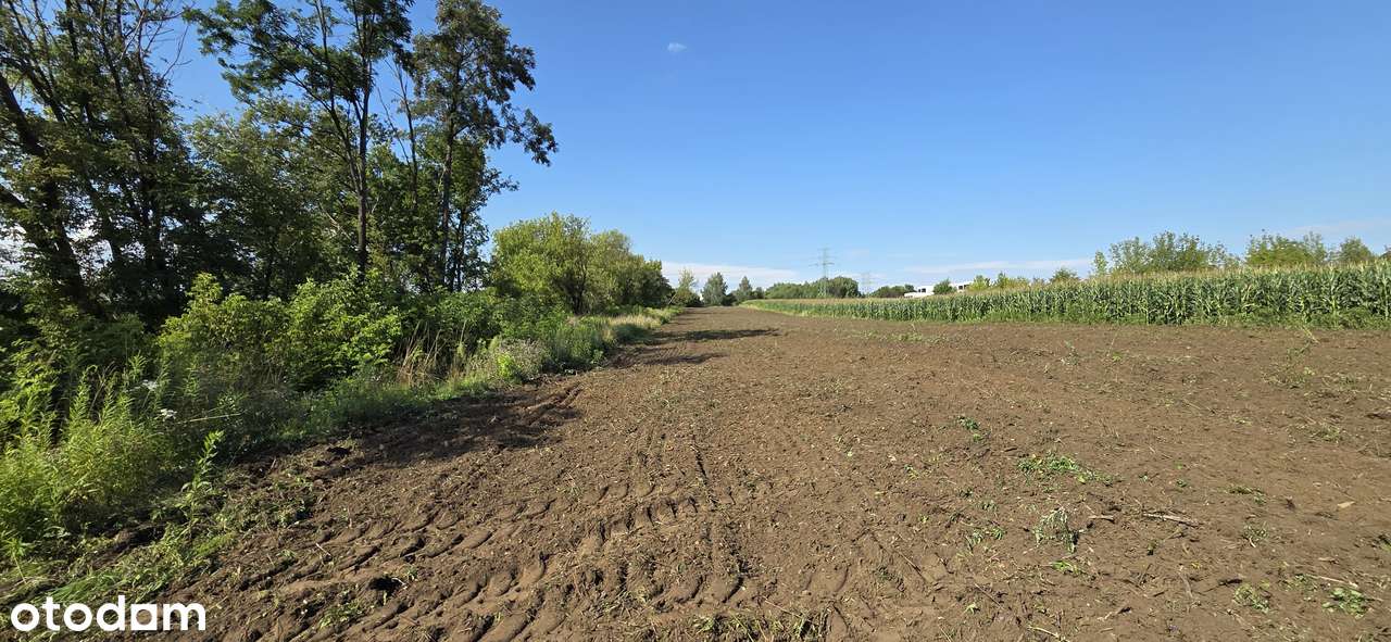 Działka pod zabudowę w spokojnej okolicy-4