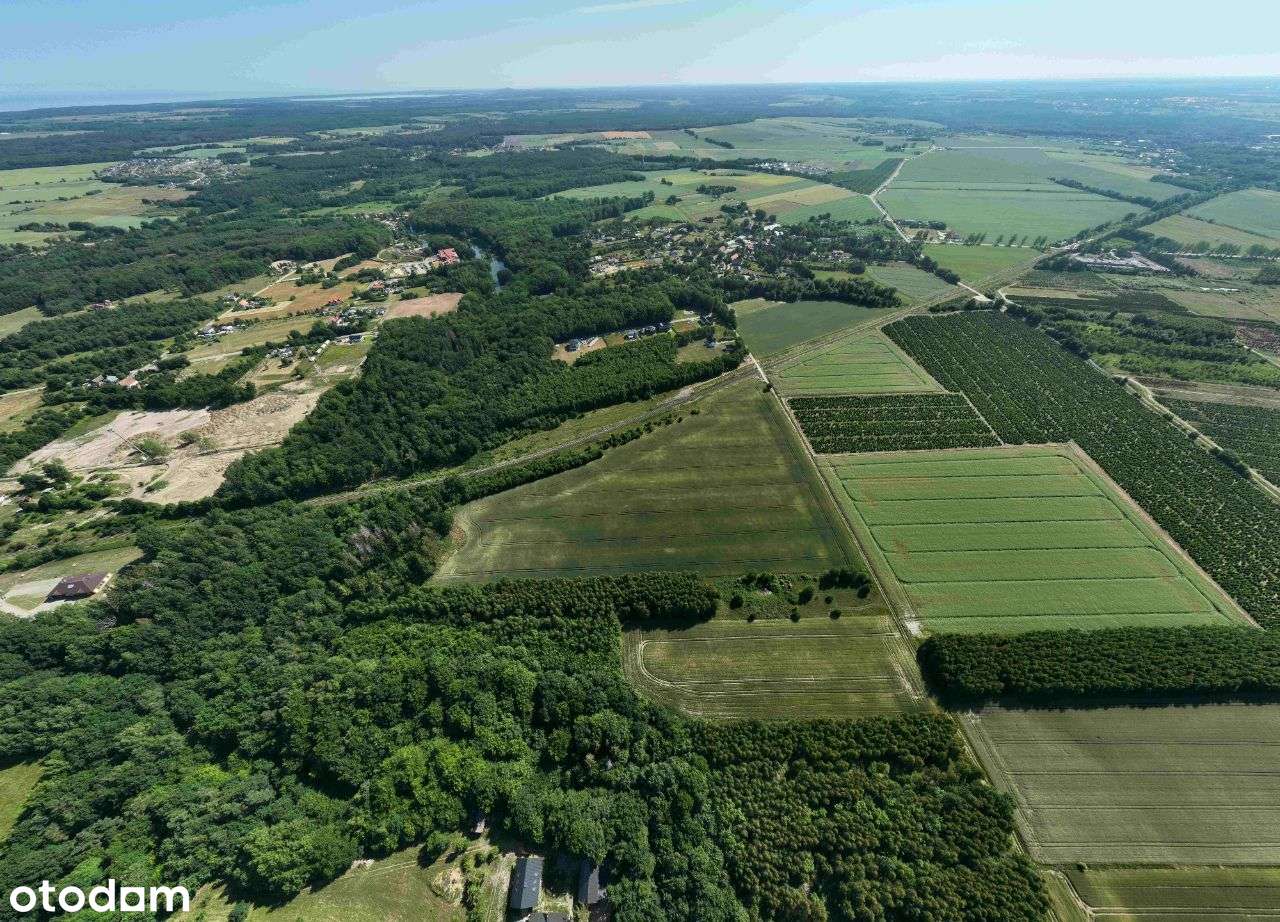 OSTATNIE DZIAŁKI - Strzelinko - komplet uzbrojenia-11