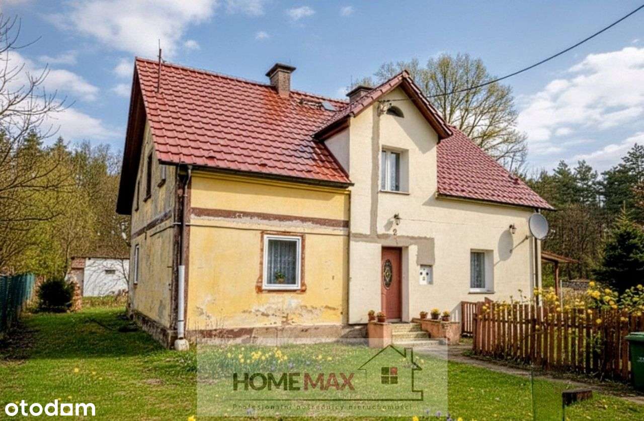 Dom pod lasem w cenie kawalerki-0