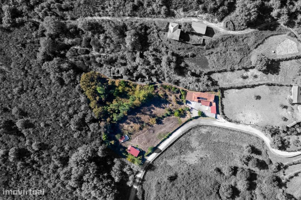 Moradia Isolada T4  |  Privacidade, Jardim,  e Garagem - Grande imagem: 5/53