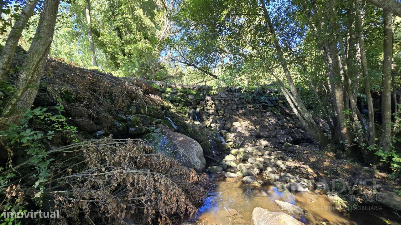 Quintinha T3 Venda em Fragosela,Viseu - Grande imagem: 3/37