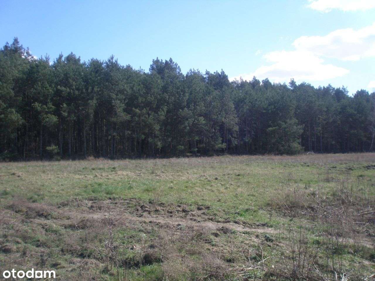 Działka, 1 030 m², Borówiec - Pełny obrazek: 4/9